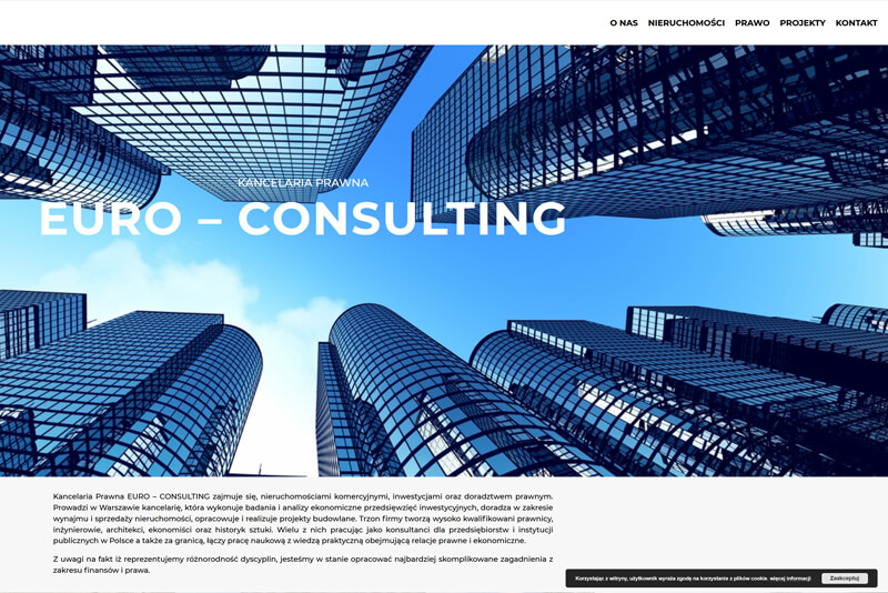 euro-consulting01